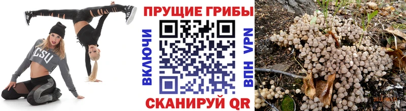 купить закладку  Заринск  ОМГ ОМГ сайт  Галлюциногенные грибы мухоморы 